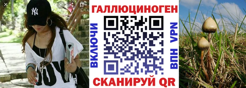 продажа наркотиков  Камызяк  Галлюциногенные грибы GOLDEN TEACHER 