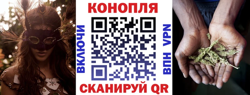 где купить наркоту  Камызяк  МАРИХУАНА планчик 